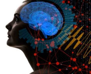 Analyze & Optimize Your Body, Mind & Soul